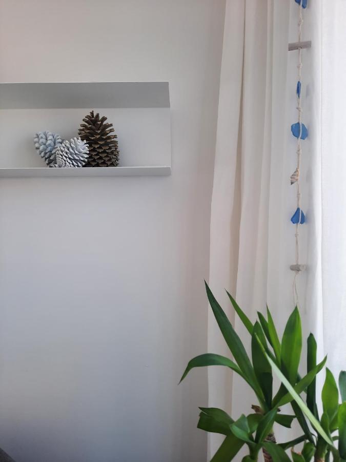Sitius 5B - New Seaview Apartment With Rooftop Terrace In Historical Centre Sitio Da Nazaré Exteriér fotografie