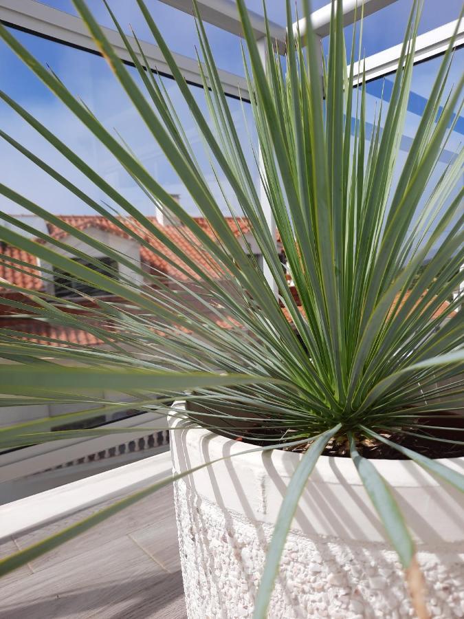 Sitius 5B - New Seaview Apartment With Rooftop Terrace In Historical Centre Sitio Da Nazaré Exteriér fotografie